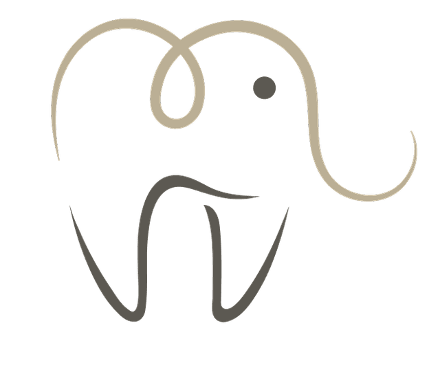 dntl care group